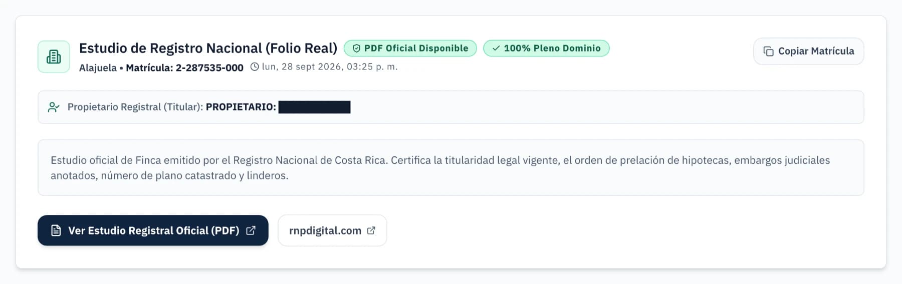 El estudio del Registro Nacional de una propiedad, con el PDF oficial adjunto y el nombre del propietario oculto